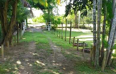 Imagem 4: LFerreira Imóveis. 5.000m² de Área