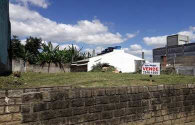 Imagem 6: Capoeiras terreno entre as Avenidas Ivo Silveira e Rua Santos Saraiva