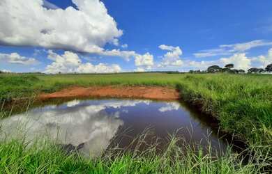 Imagem 12: Bela Vista de Goiás - Chácara - zona rural