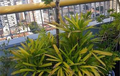 Imagem 12: Apartamento para venda com 194 metros quadrados com 4 quartos em Chácara Inglesa - São Pau