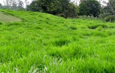 Imagem: O terreno possui 4.400m² de Área e está localizado em Papucaia