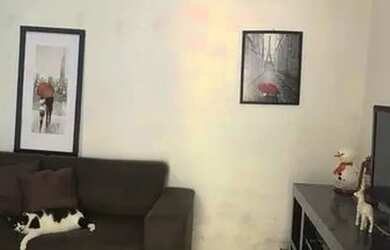 Imagem 3: Casa em Pirajá. 65m² de Área, 1 Vaga na garageme2 Dormitórios