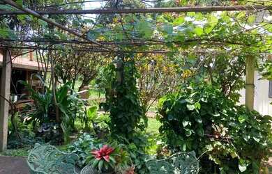 Imagem 7: Rancho com 3 dormitórios à venda, 200 m² por R$ 1.000.000,00 - Pieer...