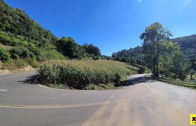 Imagem 11: Sítio / Chácara para Venda em Nova Petrópolis, Nove Colonias