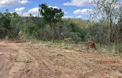 Imagem: O terreno possui 600m² de Área e está localizado em Centro