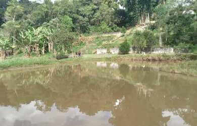 Imagem 8: 1 hectare pisciciultura abandonada 277 mil reais 2 casas