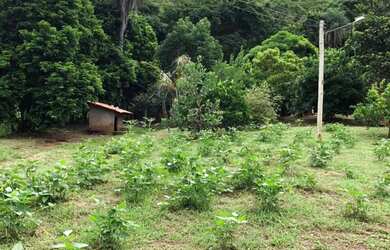 Imagem 4: Chácara 01 hectares valor 250.000 JK goias