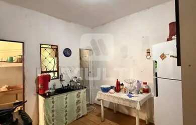 Imagem 9: Colonia - JARDIM BRASILIA