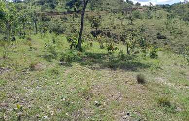 Imagem 5: A M IMOVEIS VENDE EXELENTE FAZENDA NA FERCAL COM 10 ALQUEIRES