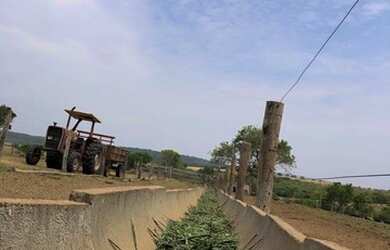 Imagem 6: Fazenda de 37 alqueires. 