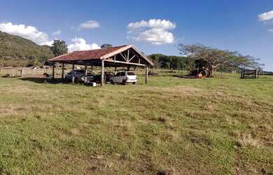 Imagem 5: Fazenda de 37 alqueires. 