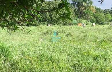 Imagem 2: Crixás - Fazenda - Zona Rural