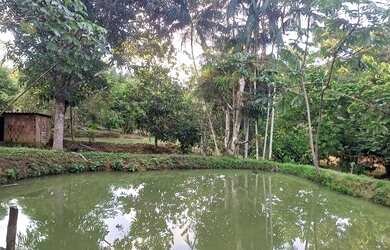 Imagem: A chácara possui 6.000m² de Área e está localizado em Centro