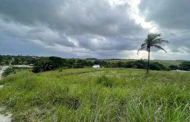 Imagem 2: Terreno Porto de galinhas