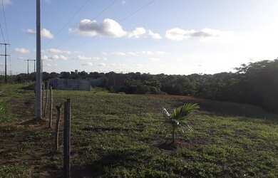 Imagem 2: Vendo Terrro em Aldeia 50X25