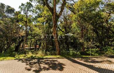 Imagem 3: TERRENO CONDOMÍNIO PINHEIRO GROSSO