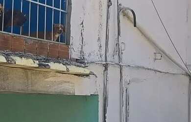 Imagem 2: Duplex a venda. Varanda, 50m² de Área, 1 Vaga na garageme4 Dormitórios