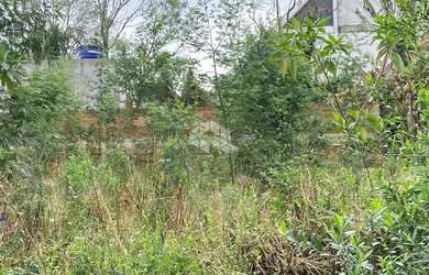 Imagem 4: Terreno central em Nova Patrópolis RS