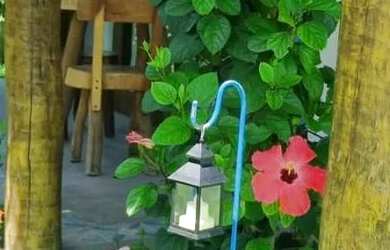 Imagem 9: Pousada Boutique em Sao Miguel dos Milagres