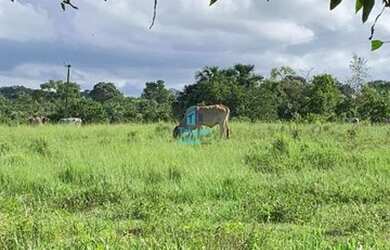 Imagem 1: Crixás - Fazenda - Zona Rural