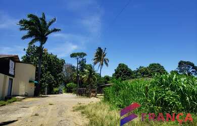 Imagem 15: França Consultoria Imobiliária vende fazenda no Xuri, Vila Velha/ES