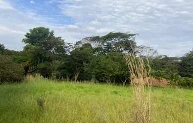 Imagem 3: Área Buriti Sereno. 15.000m² de Área