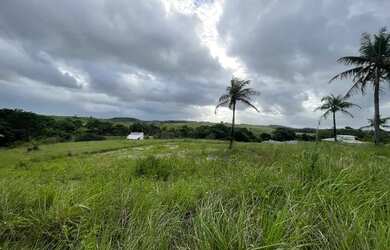 Imagem 3: Terreno Porto de galinhas