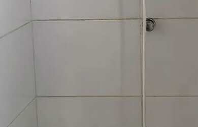 Imagem 5: Apartamento de 1/4 sala, cozinha e banheiro