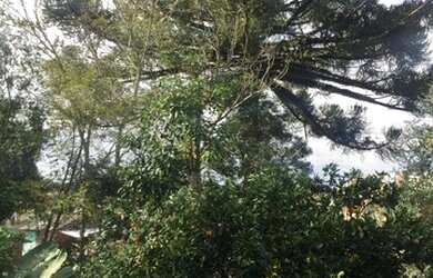 Imagem 8: Casa Vila Seca Casa com 4 dormitórios