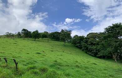 Imagem 13: LP-Vendo terreno em condomínio exclusivo fechado