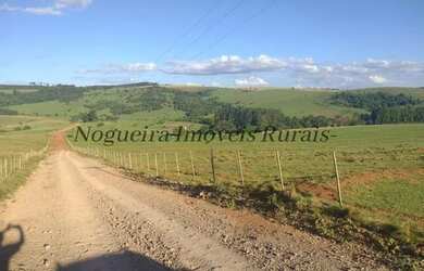 Imagem 8: Fazenda com 1.115 alqueires com represa Nogueira Imóveis Rurais