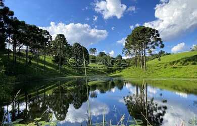 Imagem 1: Haras á venda em Tijucas do Sul, aceita permuta, Fazenda no Campo Alto...
