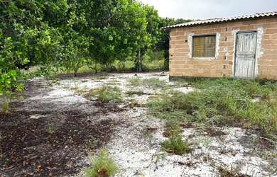 Imagem 2: Casa a mil metros da praia próximo ao barramares