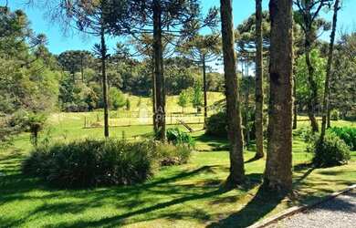 Imagem 12: SÍTIO NO BAIRRO ULISSES DE ABREU EM CANELA