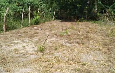 Imagem: O terreno possui 200m² de Área e está localizado em Santo