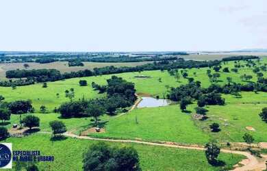 Imagem: A fazenda à venda possui e está localizado em Centro, Bom