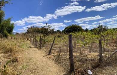 Imagem 12: Lote/Terreno para venda possui 375 metros quadrados em Area Rural de Sao...