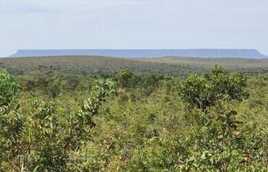 Imagem: A fazenda possui Imóvel novo e está localizado em Mateiros
