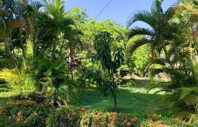 Imagem 4: Terreno à venda, 28680 m² por R$ 5.000.000,00 - Paupina - Fortaleza/CE