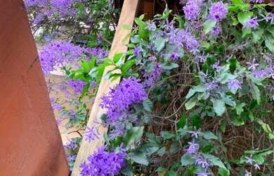 Imagem: A casa possui 1 Dormitório, 1 Banheiro, 48m² de Área e está