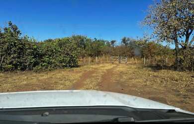 Imagem 14: Fazenda arrendamento 700hec pra abrir em aliança do Tocantins TO