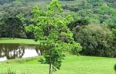 Imagem 5: Terreno para Venda em Nova Petrópolis, Linha Imperial