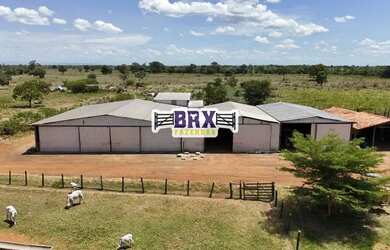 Imagem 2: Fazenda à venda ou arrendamento agrícola em Flores de Goiás