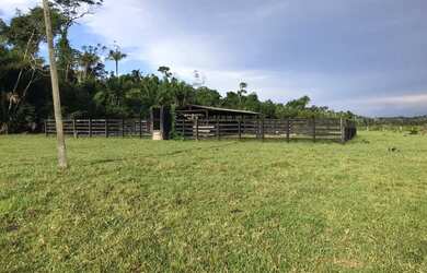 Imagem 5: Vende-se Fazenda - Iracema - RR