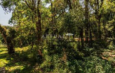 Imagem 5: TERRENO CONDOMÍNIO PINHEIRO GROSSO