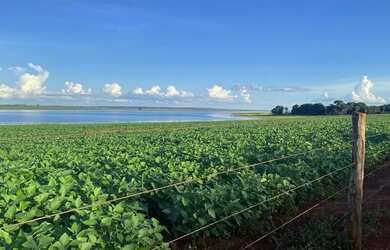 Imagem: A fazenda está localizado em Setor Central, Goiânia à venda