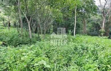 Imagem 8: Terreno à venda, 2026,66 m² por R$ 240.000 - Muriqui - Niterói/RJ