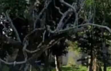 Imagem: O terreno possui 864m² de Área e está localizado em Itauna