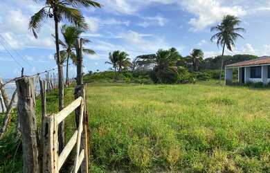 Imagem: A fazenda à venda possui e está localizado em Viçosa, AL