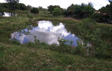 Imagem: A fazenda está localizado em Francisco Sá, MG à venda por